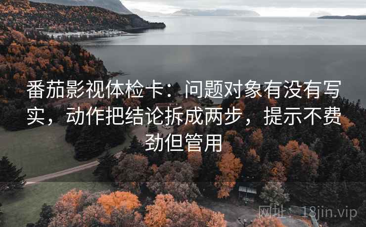 番茄影视体检卡：问题对象有没有写实，动作把结论拆成两步，提示不费劲但管用